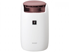 『本体 斜め』 UD-BF1