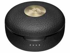 Victor WOOD master HA-FW5000T-T [サンバーストブラウン]