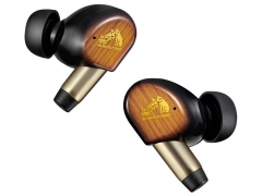 Victor WOOD master HA-FW5000T-T [サンバーストブラウン]